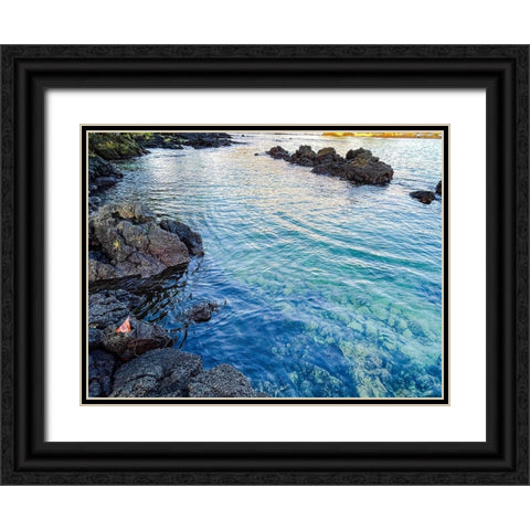 Ocean Echoes Black Ornate Wood Framed Art Print with Double Matting by Nebula, Melissa