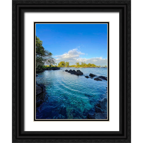 Pacific Ohm Black Ornate Wood Framed Art Print with Double Matting by Nebula, Melissa