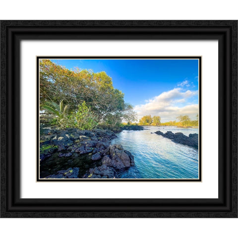 Tidal Coze Black Ornate Wood Framed Art Print with Double Matting by Nebula, Melissa