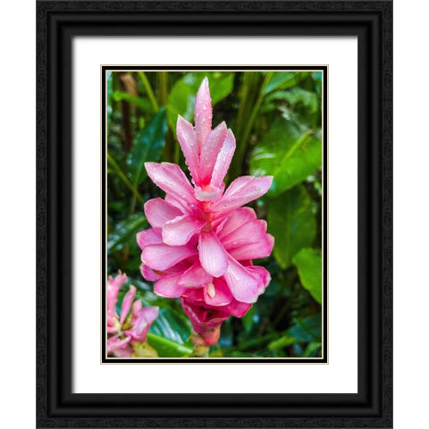 Floral Heart Bliss Black Ornate Wood Framed Art Print with Double Matting by Nebula, Melissa