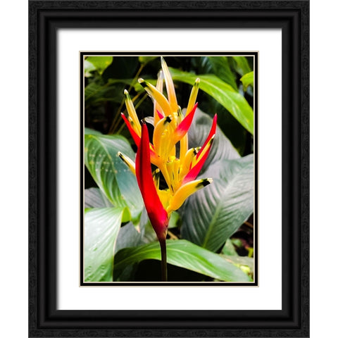 Reach for the Light Black Ornate Wood Framed Art Print with Double Matting by Nebula, Melissa