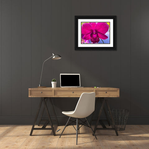 Orchid Daze Black Ornate Wood Framed Art Print with Double Matting by Nebula, Melissa