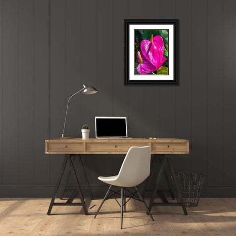 Heartfelt Anthurium Black Ornate Wood Framed Art Print with Double Matting by Nebula, Melissa