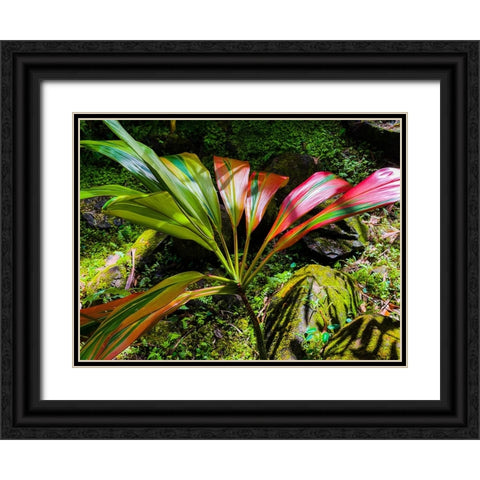 Striped Ti Black Ornate Wood Framed Art Print with Double Matting by Nebula, Melissa