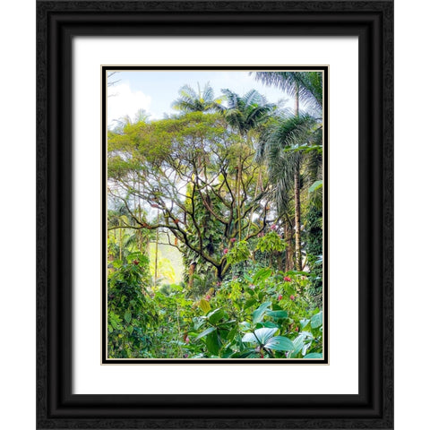 Botanical Junglescape Black Ornate Wood Framed Art Print with Double Matting by Nebula, Melissa