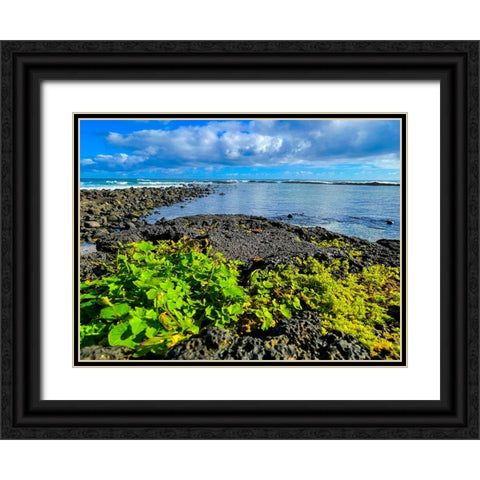 Hilo Morning Rise Black Ornate Wood Framed Art Print with Double Matting by Nebula, Melissa