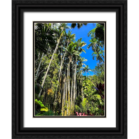 Reaching Palms Black Ornate Wood Framed Art Print with Double Matting by Nebula, Melissa