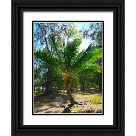 Palm 2 Black Ornate Wood Framed Art Print with Double Matting by Nebula, Melissa