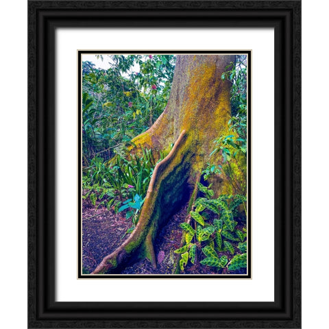 Walking Tree Black Ornate Wood Framed Art Print with Double Matting by Nebula, Melissa