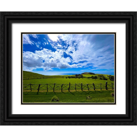 Kohala Countryside Black Ornate Wood Framed Art Print with Double Matting by Nebula, Melissa