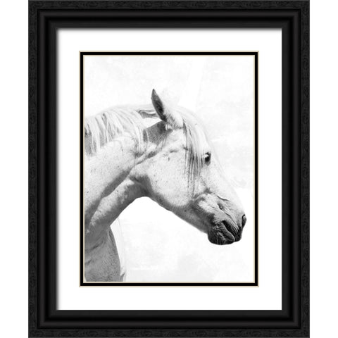 Praying Steed 2 Black Ornate Wood Framed Art Print with Double Matting by Prime, Marcus