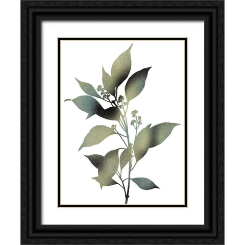 Morphism Of Dreams 1 Black Ornate Wood Framed Art Print with Double Matting by Prime, Marcus