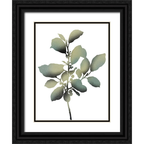 Morphism Of Dreams 2 Black Ornate Wood Framed Art Print with Double Matting by Prime, Marcus