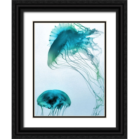 Jelly Fish Friends Black Ornate Wood Framed Art Print with Double Matting by Prime, Marcus