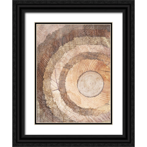 Natural Rings Of Life Black Ornate Wood Framed Art Print with Double Matting by Prime, Marcus