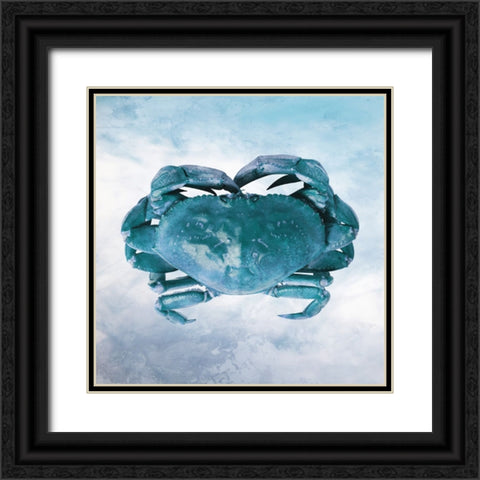 Underwater Friends 1 Black Ornate Wood Framed Art Print with Double Matting by Prime, Marcus
