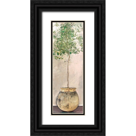 Dracaena Black Ornate Wood Framed Art Print with Double Matting by Miller, Savannah