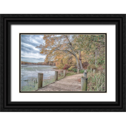 Blydenburg Park Black Ornate Wood Framed Art Print with Double Matting by DeLuca, Pat