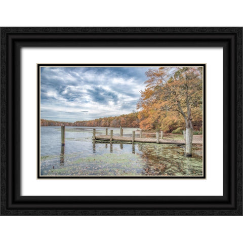 Blydenburg Park 2 Black Ornate Wood Framed Art Print with Double Matting by DeLuca, Pat