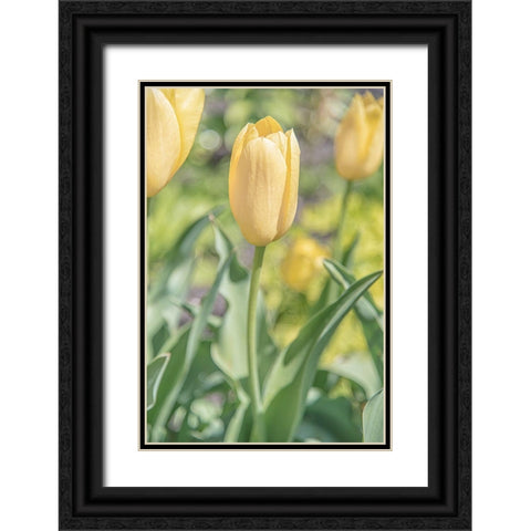 Obsequious Traditions Black Ornate Wood Framed Art Print with Double Matting by DeLuca, Pat