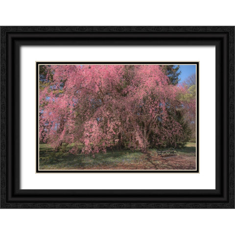 Spectacular Message Black Ornate Wood Framed Art Print with Double Matting by DeLuca, Pat