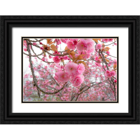 Spiritual Switch 2 Black Ornate Wood Framed Art Print with Double Matting by DeLuca, Pat