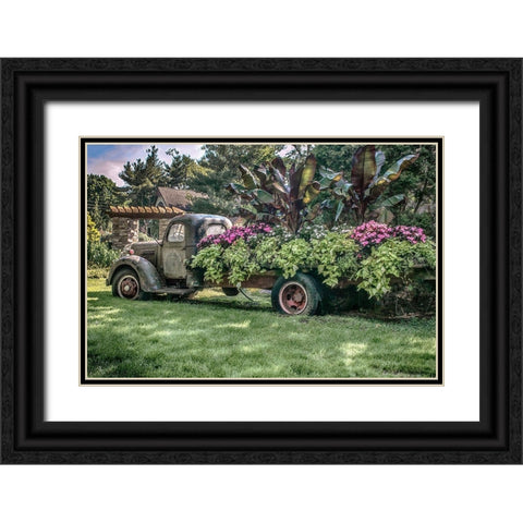 Sympathy Of Generosity Black Ornate Wood Framed Art Print with Double Matting by DeLuca, Pat