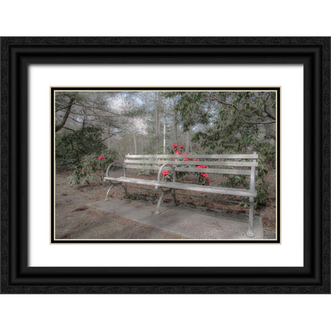 Familiar Romance Black Ornate Wood Framed Art Print with Double Matting by DeLuca, Pat