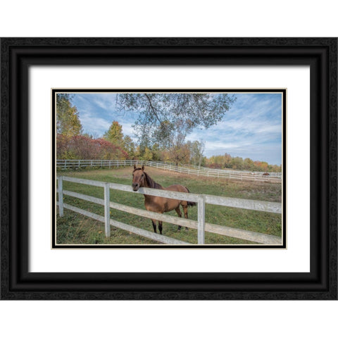 Perseverance Of Amazement Black Ornate Wood Framed Art Print with Double Matting by DeLuca, Pat
