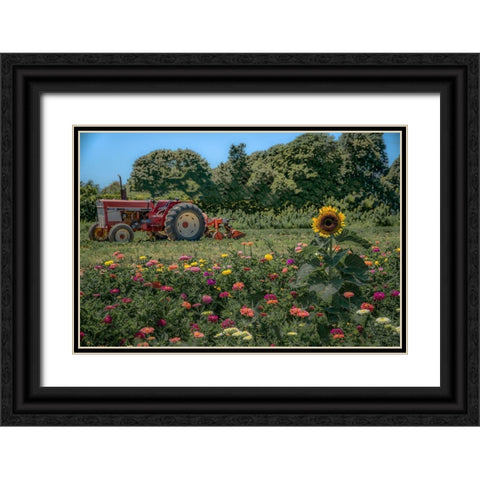 James Port Black Ornate Wood Framed Art Print with Double Matting by DeLuca, Pat