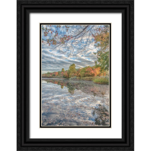 Bayport Fall Black Ornate Wood Framed Art Print with Double Matting by DeLuca, Pat