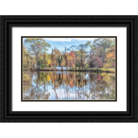 Bayshore Black Ornate Wood Framed Art Print with Double Matting by DeLuca, Pat