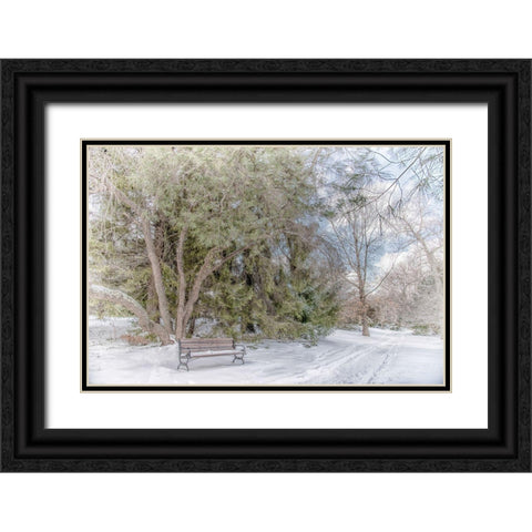 Arboretum 2 Black Ornate Wood Framed Art Print with Double Matting by DeLuca, Pat