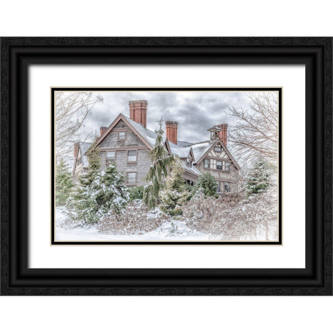 Aboretum December 1 Black Ornate Wood Framed Art Print with Double Matting by DeLuca, Pat