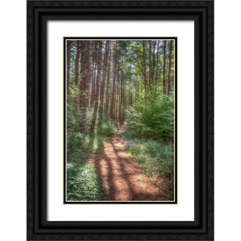 Hollow Fall Black Ornate Wood Framed Art Print with Double Matting by DeLuca, Pat