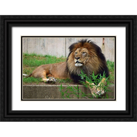 Brilliant Direction Black Ornate Wood Framed Art Print with Double Matting by DeLuca, Pat