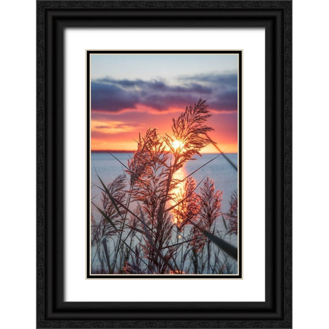 Exhilarated Potential Black Ornate Wood Framed Art Print with Double Matting by DeLuca, Pat