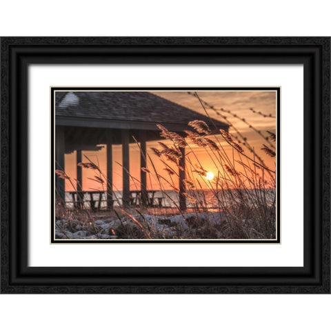 Imminent Loyalty Black Ornate Wood Framed Art Print with Double Matting by DeLuca, Pat