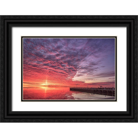 Discovery Of Grace Black Ornate Wood Framed Art Print with Double Matting by DeLuca, Pat