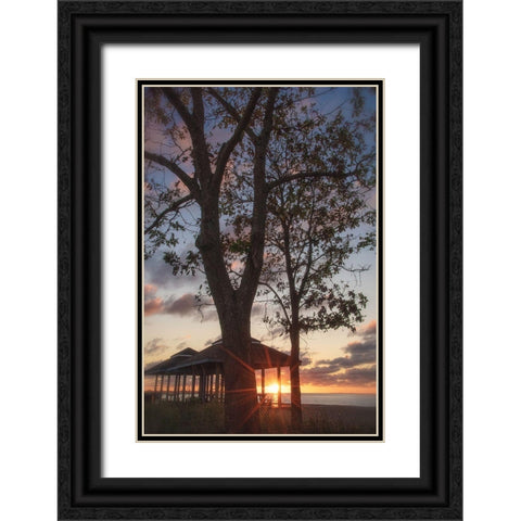 Fragile Shadows Black Ornate Wood Framed Art Print with Double Matting by DeLuca, Pat