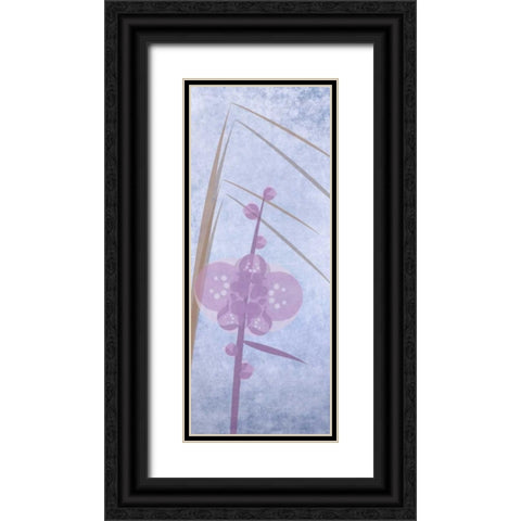 Orchids 2 Black Ornate Wood Framed Art Print with Double Matting by Greene, Taylor