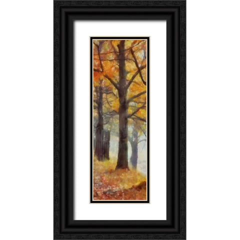 AMBER TRAIL PANEL II Black Ornate Wood Framed Art Print with Double Matting by Greene, Taylor