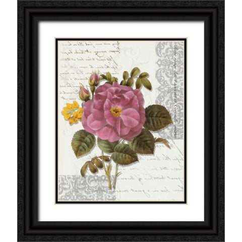 Rose On Scroll II Black Ornate Wood Framed Art Print with Double Matting by Greene, Taylor