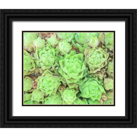 ABSTRACT SUCCULENT Black Ornate Wood Framed Art Print with Double Matting by Greene, Taylor