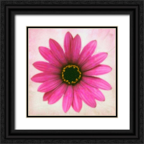 DAISY CHAIN 1 Black Ornate Wood Framed Art Print with Double Matting by Greene, Taylor