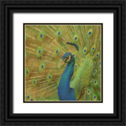 Peacock Love Black Ornate Wood Framed Art Print with Double Matting by Greene, Taylor
