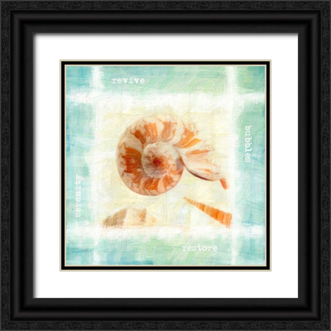 Calming Shells Black Ornate Wood Framed Art Print with Double Matting by Greene, Taylor