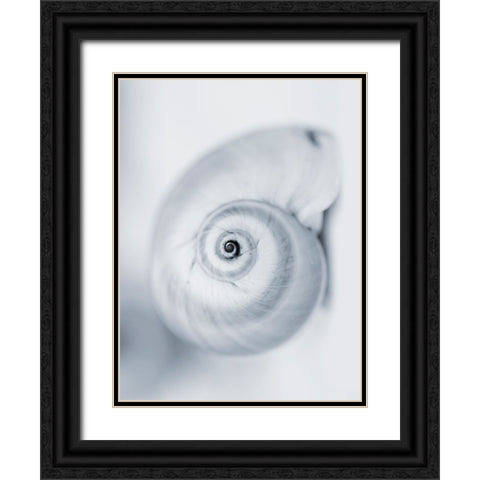 Moon Snail Black Ornate Wood Framed Art Print with Double Matting by Telik, Tracey