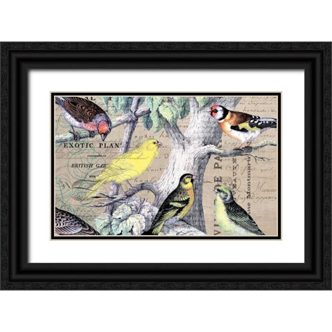 Bird Botanical 4 Black Ornate Wood Framed Art Print with Double Matting by Jordan, Elizabeth