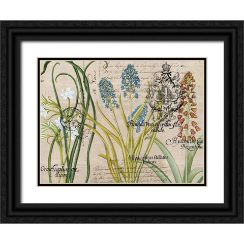 Flower Botanical Black Ornate Wood Framed Art Print with Double Matting by Jordan, Elizabeth